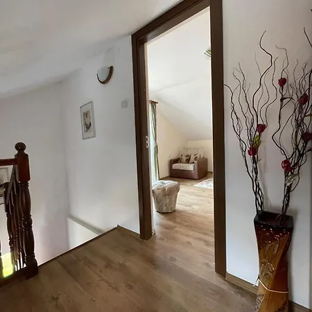Casa Matei Dom wakacyjny *
