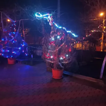 Casa Matei Dom wakacyjny *