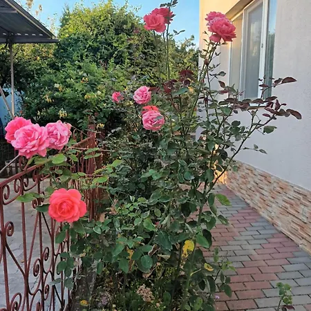 Dom wakacyjny Casa Matei