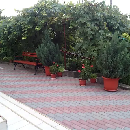 Casa Matei Dom wakacyjny *